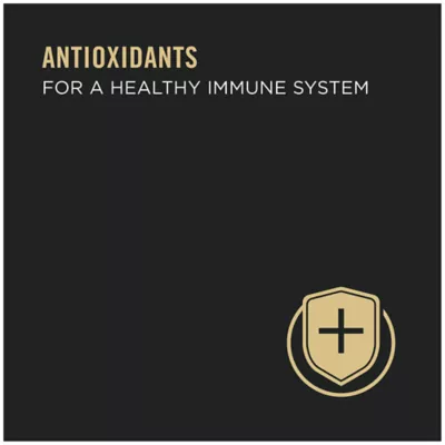 Product Purina® Pro Plan Complete Essentials Adult Wet Cat Food - In Sauce, 3 Oz