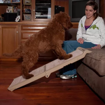 Product Pet Gear Bi-Fold Pet Ramp