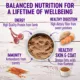Product Wellness® Complete Health Adult Wet Dog Food - Natural