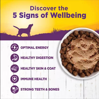 Product Wellness® Complete Health Adult Wet Dog Food - Natural