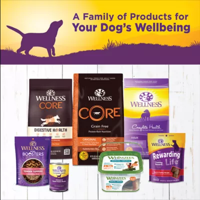 Product Wellness® Complete Health Adult Wet Dog Food - Natural