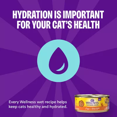 Product Wellness® Complete Health Adult Cat Wet Food - Natural, Grain Free, Pate, 3 Oz