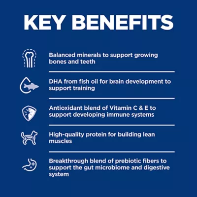 Product Hill's Science Diet Puppy Dry Dog Food - Chicken & Brown Rice