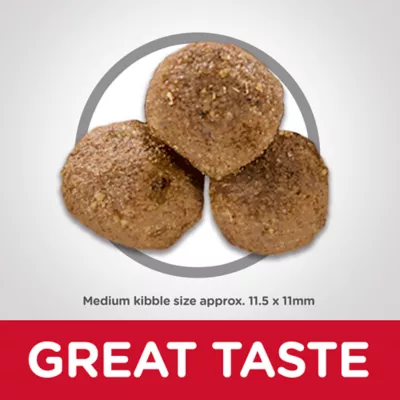 Product Hill's® Science Diet® Adult Dry Dog Food - Lamb & Brown Rice