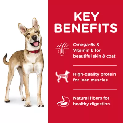 Product Hill's® Science Diet® Adult Dry Dog Food - Lamb & Brown Rice