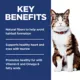 Product Hill's® Science Diet® Hairball Control Adult Dry Cat Food - Chicken