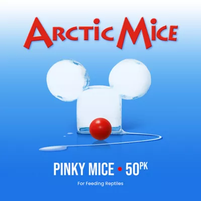 Product Arctic Mice Frozen Pinky Mice