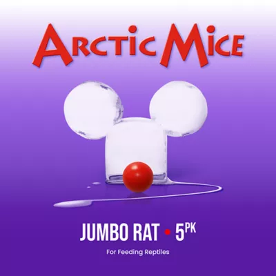 Product Arctic Mice Frozen Jumbo Rats