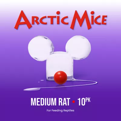 Product Arctic Mice Frozen Medium Rats