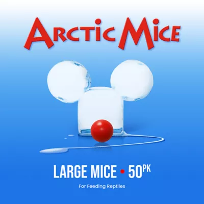 Product Arctic Mice Frozen Large Mice