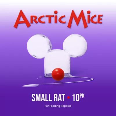 Product Arctic Mice Frozen Small Rats