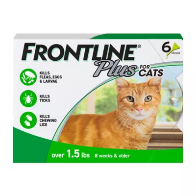 Product Frontline Plus Cat Flea & Tick Treatment