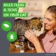 Product Frontline Plus Cat Flea & Tick Treatment