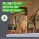 Product Frontline Plus Cat Flea & Tick Treatment