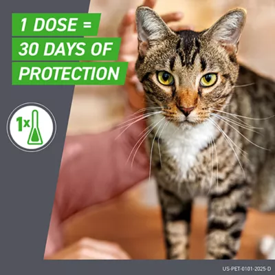 Product Frontline Plus Cat Flea & Tick Treatment