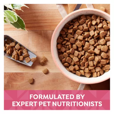 Product Nature's Recipe Adult Dry Dog Food - Salmon, Sweet Potato, Pumpkin