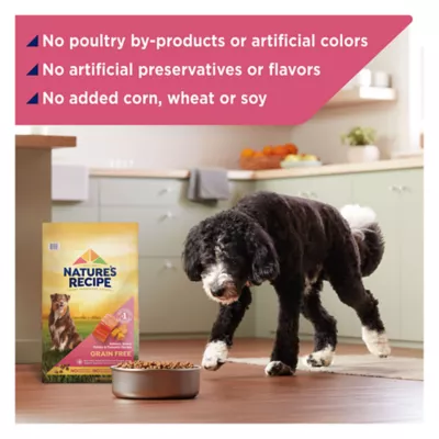 Product Nature's Recipe Adult Dry Dog Food - Salmon, Sweet Potato, Pumpkin