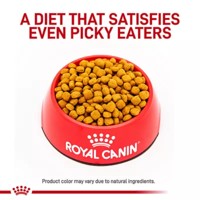 Product Royal Canin(R) Veterinary Diet Canine Gastrointestinal Adult Dry Dog Food - Low Fat