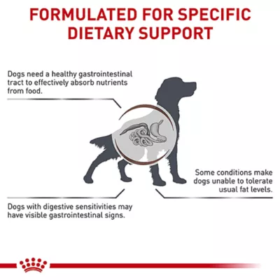 Product Royal Canin(R) Veterinary Diet Canine Gastrointestinal Adult Dry Dog Food - Low Fat