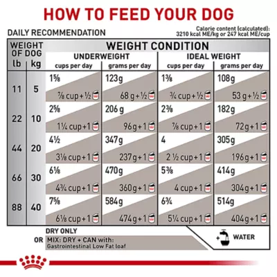 Product Royal Canin(R) Veterinary Diet Canine Gastrointestinal Adult Dry Dog Food - Low Fat