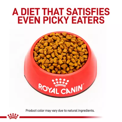Product Royal Canin® Veterinary Diet Feline Gastrointestinal Adult Dry Cat Food