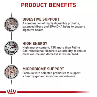 Product Royal Canin® Veterinary Diet Feline Gastrointestinal Adult Dry Cat Food