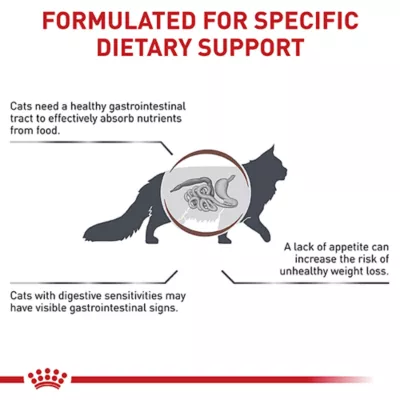 Product Royal Canin® Veterinary Diet Feline Gastrointestinal Adult Dry Cat Food