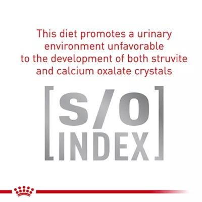 Product Royal Canin® Veterinary Diet Feline Gastrointestinal Adult Dry Cat Food