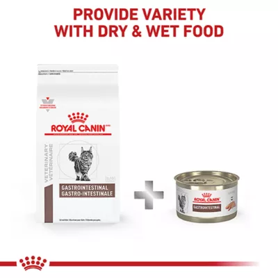 Product Royal Canin® Veterinary Diet Feline Gastrointestinal Adult Dry Cat Food