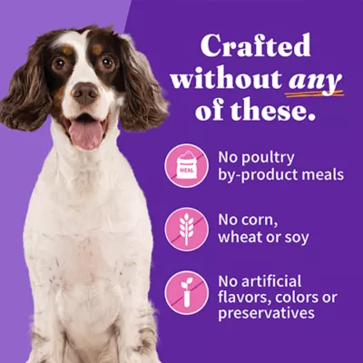 Product Halo Healthy Grains Adult Wet Dog Food - Turkey Recipe in Broth, 13.2 oz
