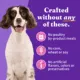 Product Halo Healthy Grains Adult Wet Dog Food - Turkey Recipe in Broth, 13.2 oz