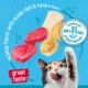 Product Friskies® Tasty Treasures Adult Cat Wet Food - 5.5 Oz
