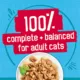 Product Friskies® Tasty Treasures Adult Cat Wet Food - 5.5 Oz