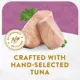 Product Fancy Feast Hors d'Oeuvre Cat Food Complement
