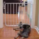 Product Cardinal Gates Auto-Lock Pet Gate