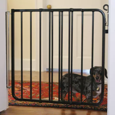 Product Cardinal Gates Auto-Lock Pet Gate