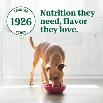 Product NUTRO ULTRA™ Adult Wet Dog Food - Pate, 3.5 Oz.