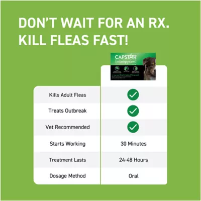 Product Capstar™ Over 25 lbs Dog Flea Treatment