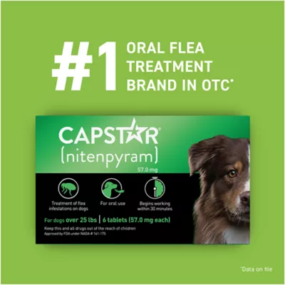 Product Capstar™ Over 25 lbs Dog Flea Treatment