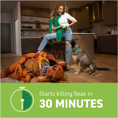 Product Capstar™ Over 25 lbs Dog Flea Treatment