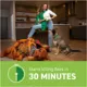Product Capstar™ Over 25 lbs Dog Flea Treatment