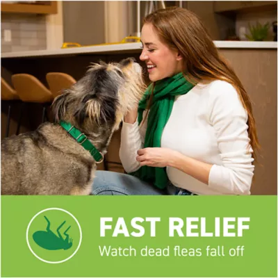 Product Capstar™ Over 25 lbs Dog Flea Treatment