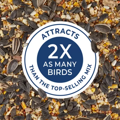 Product KAYTEE® Birders' Paradise Blend® Wild Bird Food