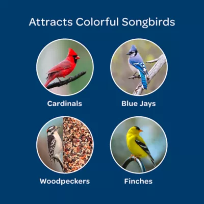 Product KAYTEE® Birders' Paradise Blend® Wild Bird Food