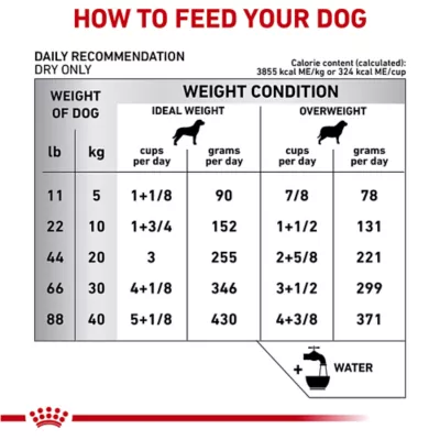 Product Royal Canin® Veterinary Diet Hydrolyzed Protein HP Adult Dog Dry Food