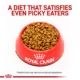Product Royal Canin® Veterinary Diet Feline Selected Protein PR Adult Dry Cat Food