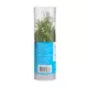 Product Top Fin® Windelov Live Plant