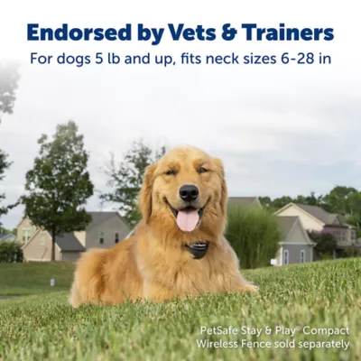 Product PetSafe® Stay & Play Wireless Pet Fence Receiver Collar - Tone and Static Correction