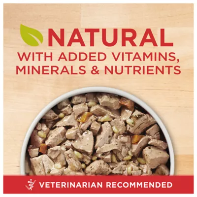 Product Purina ONE® SmartBlend Everyday Nutrition Adult Dog Wet Food - 13 oz., Natural