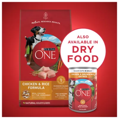 Product Purina ONE® SmartBlend Everyday Nutrition Adult Dog Wet Food - 13 oz., Natural